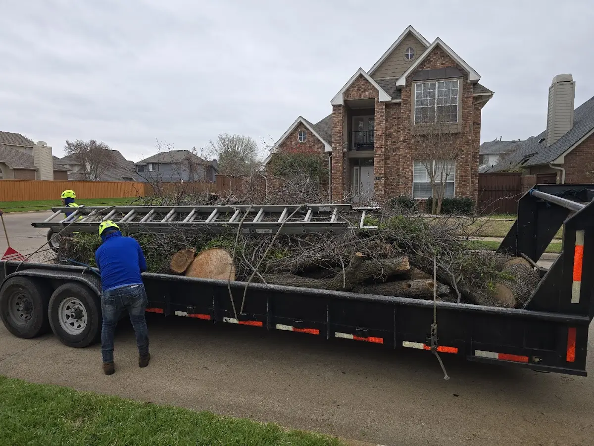 Expert Lot Clearing with proper safety equipment in Malmo